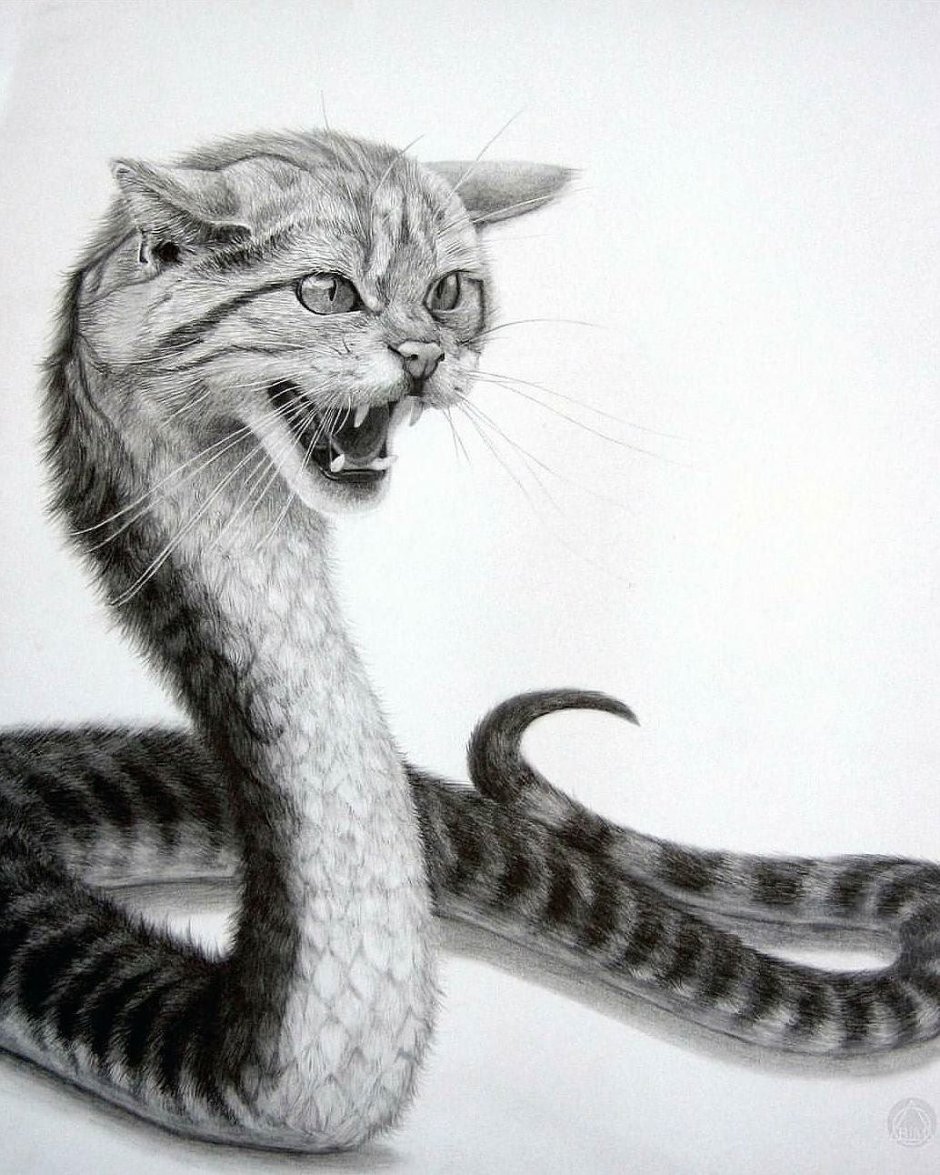 Кошка и змея