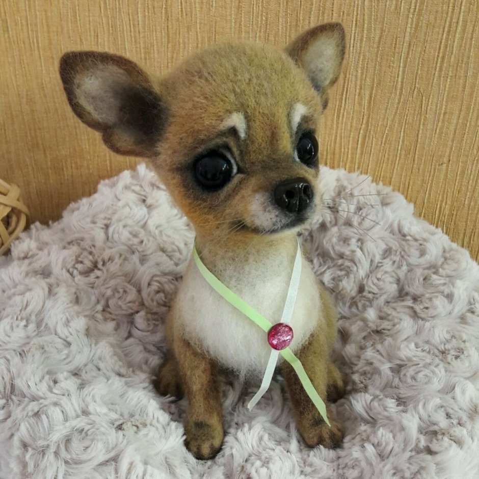 Собаки карманные