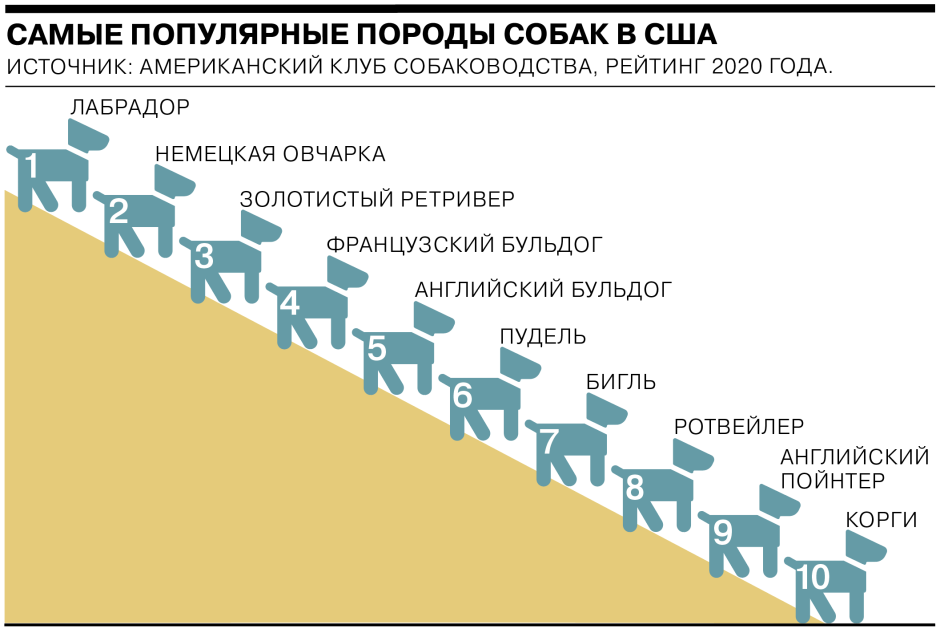 Самые распространённые породы собак в России