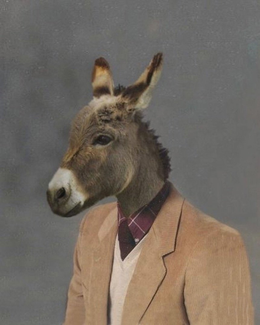 Человек с головой осла