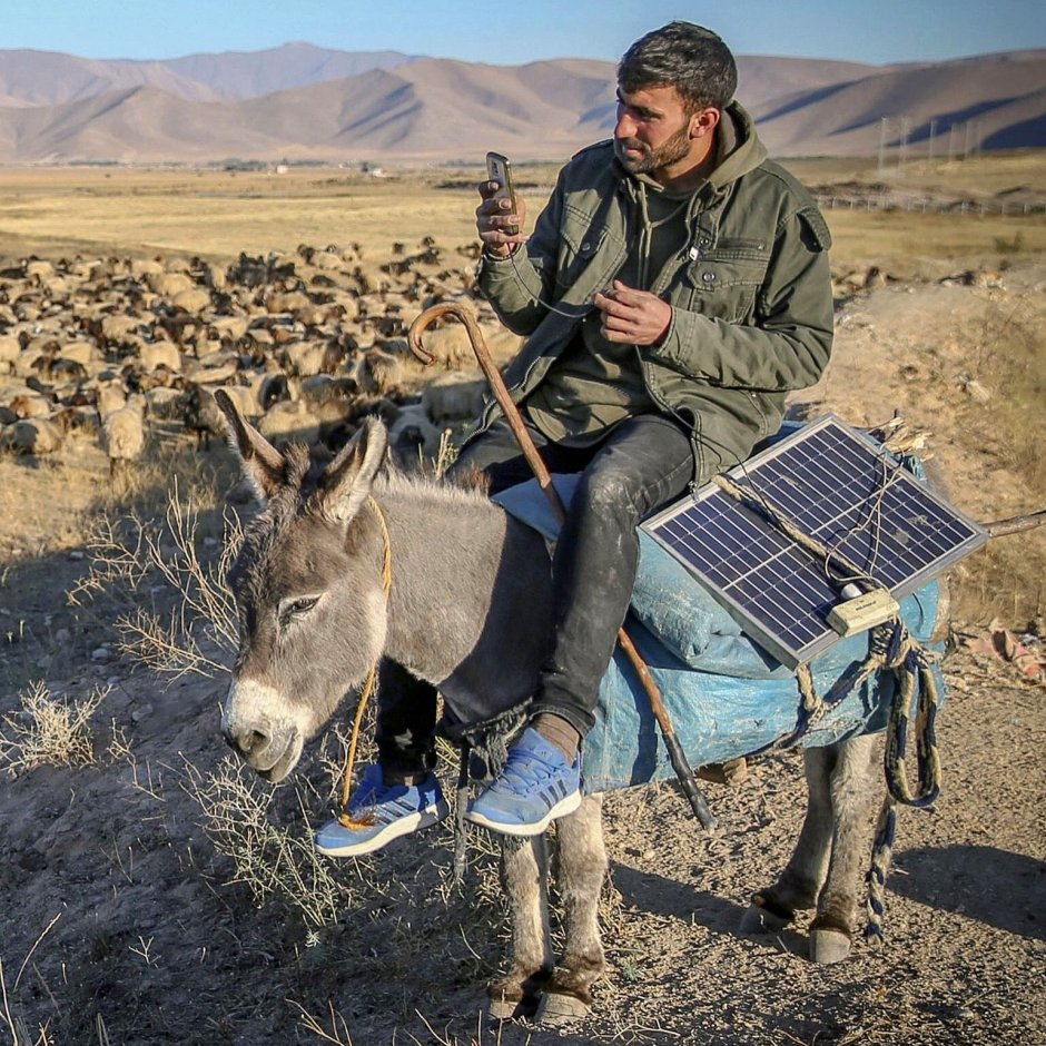 Казах на осле