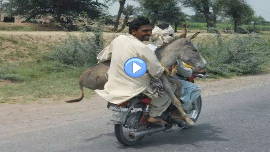 Индус на осле