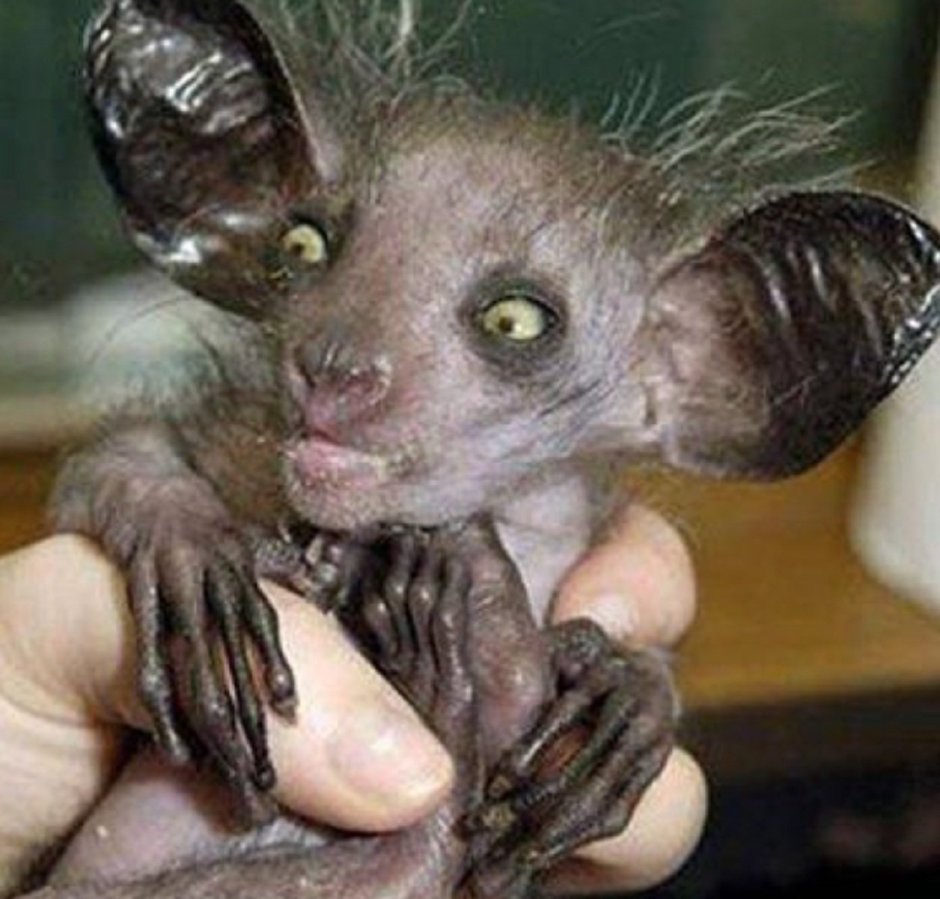 Абсолютно все знания о психологии и воспитании детей не имеют смысла