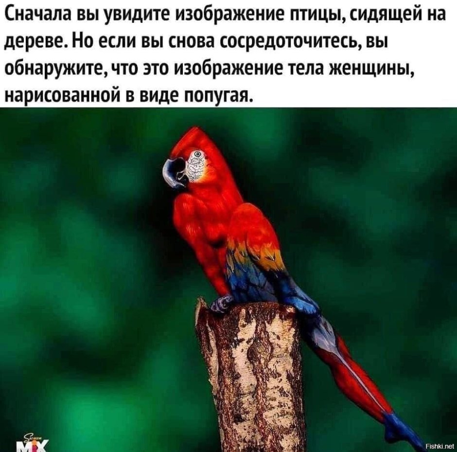 Вы видите попугая или женщину