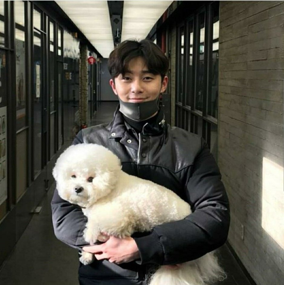 Пак со Джун с собачкой