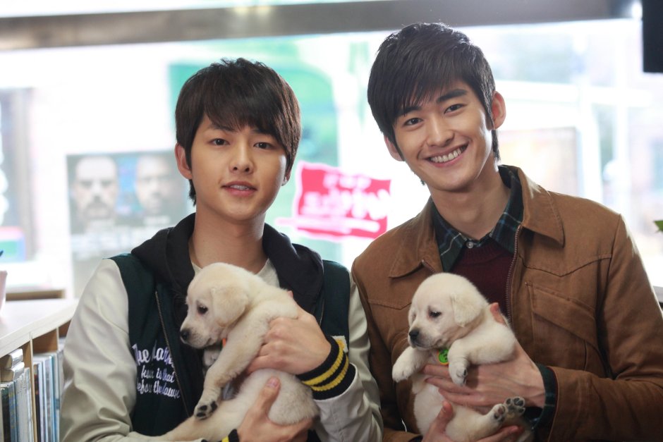 Чжан Хань дорамы фильмы