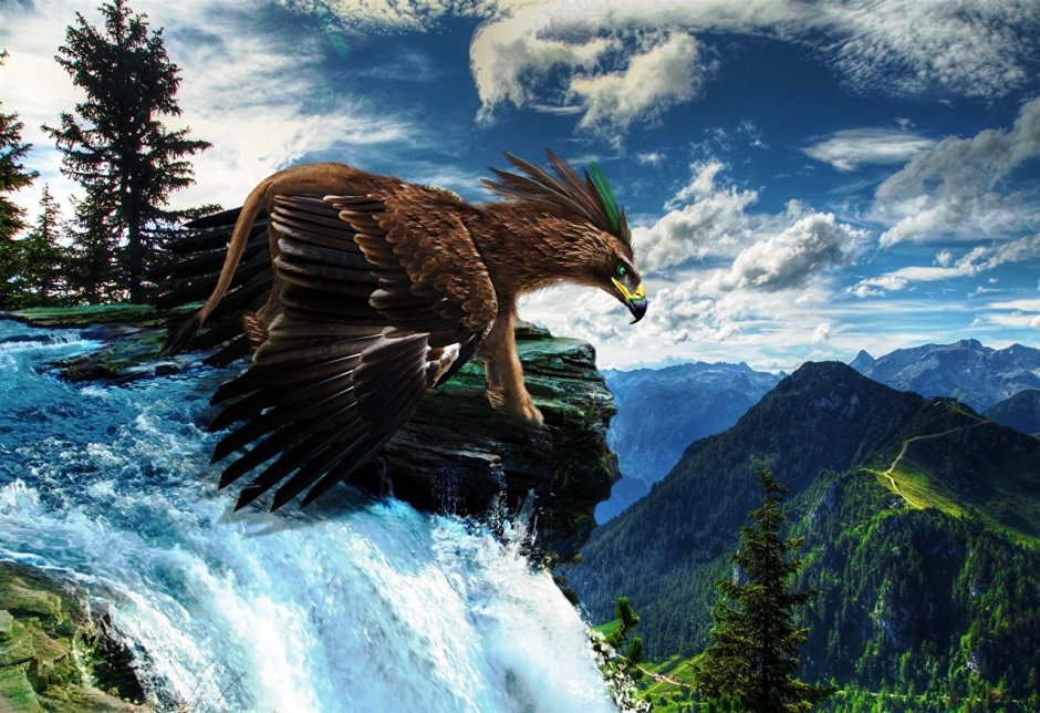 Природа птицы горы