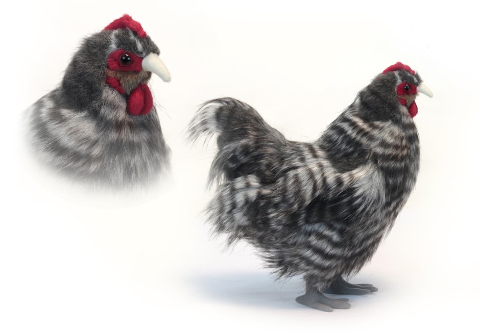 Японская курица Ханса