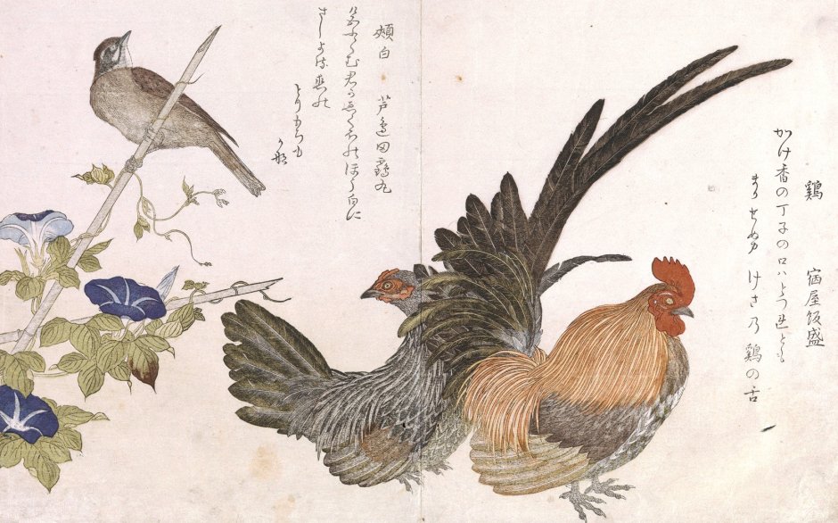 Китагава Утамаро птицы