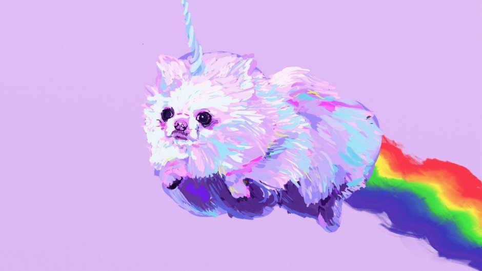 Разноцветный кот Единорог