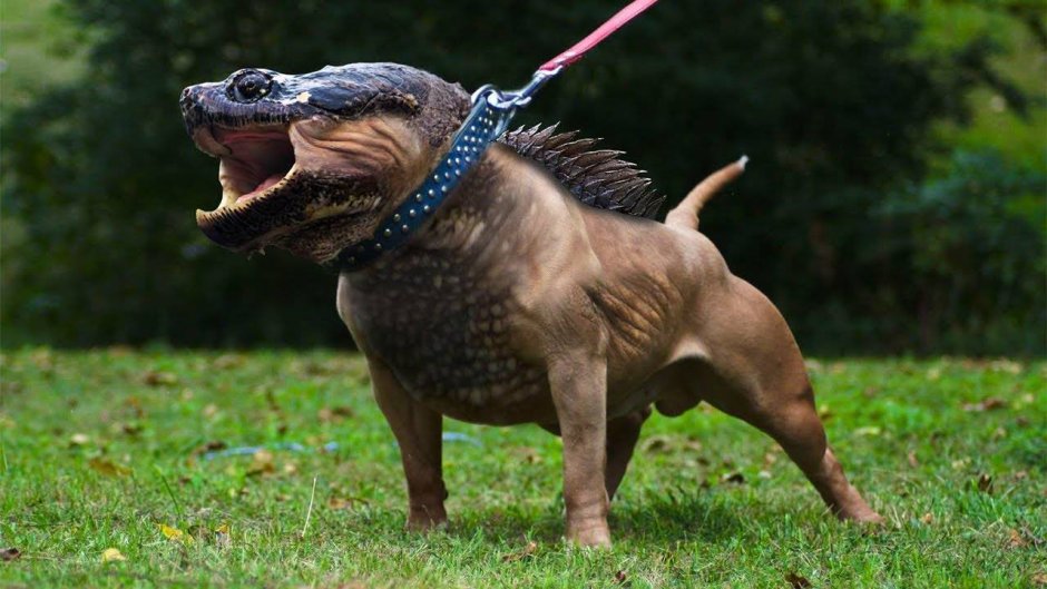 Страшные гибриды животных