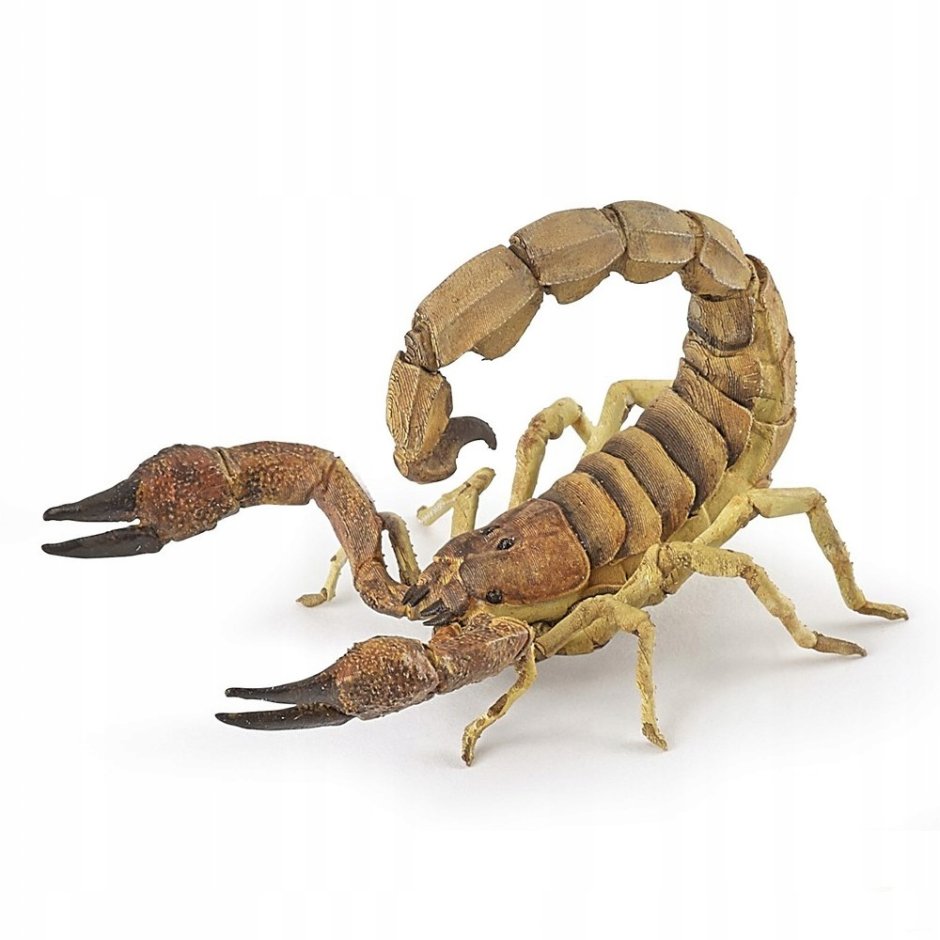Фигурка papo Скорпион 50209