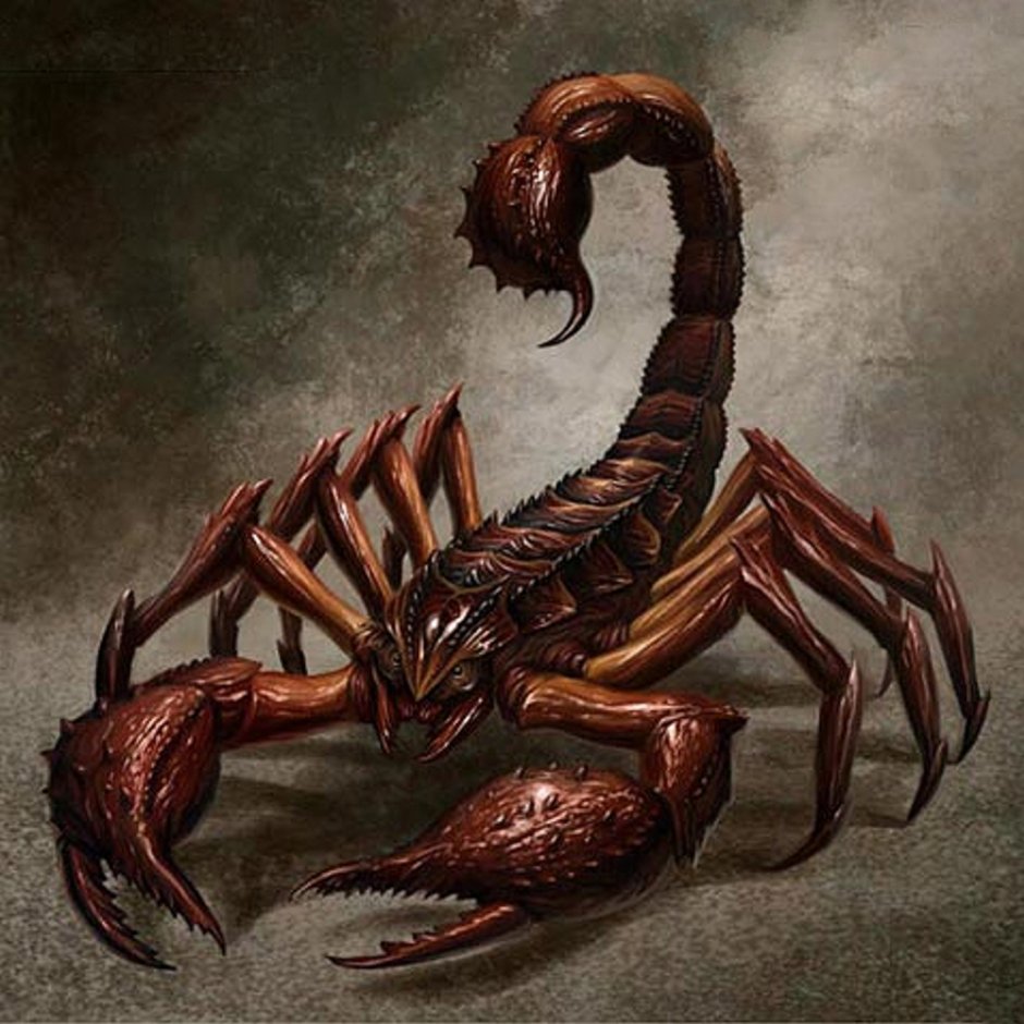 Арахнид Скорпион