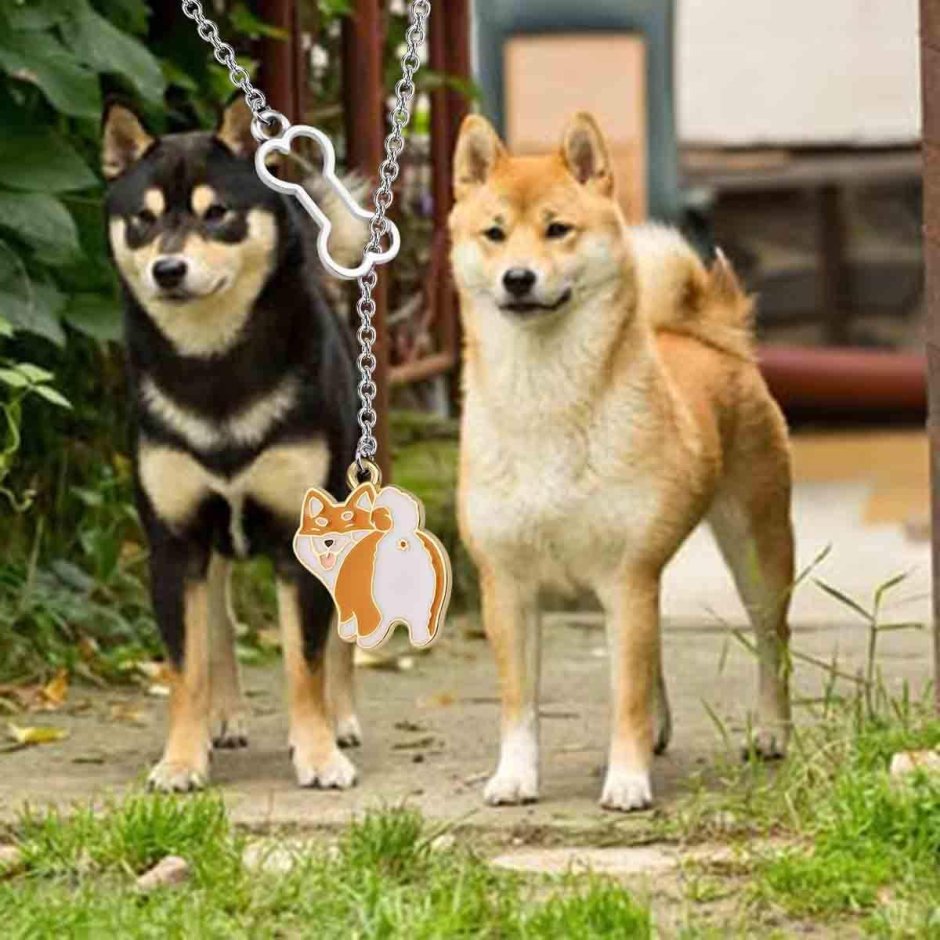 Сиба ину щенок