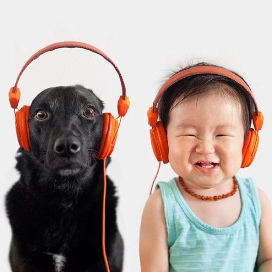 Dog with Microphone