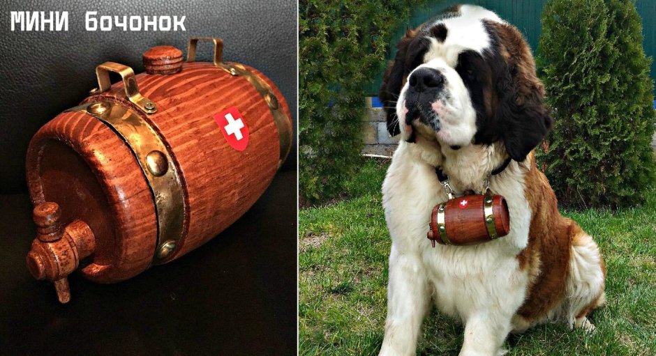 Собака с бочкой