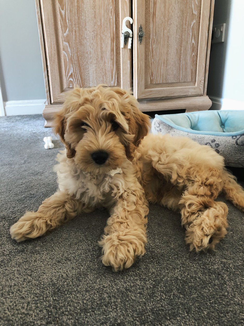 Кокапу Скай