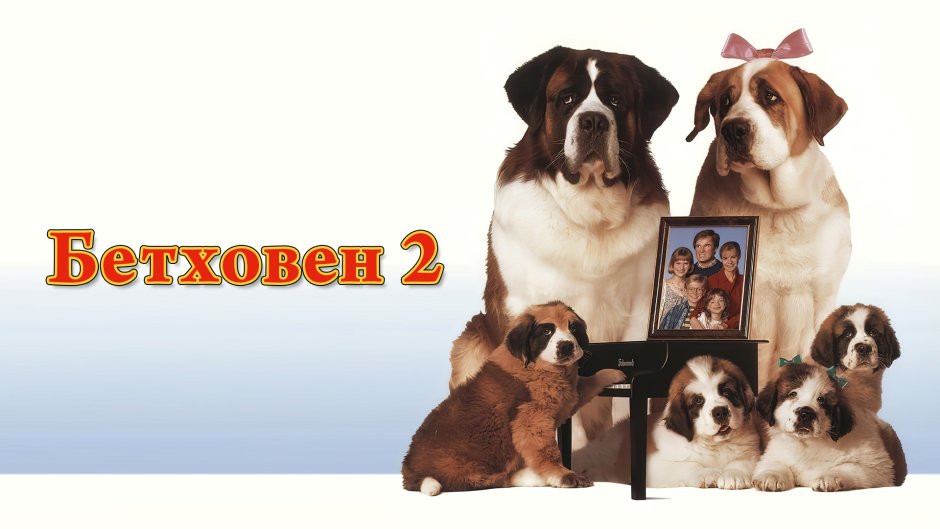 Бетховен 2 фильм 1993
