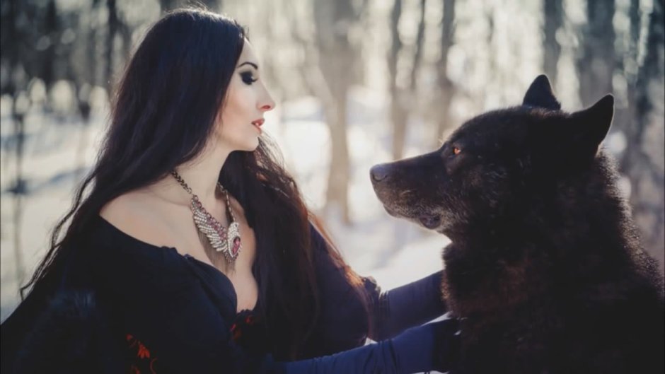 Вольфхунд белый