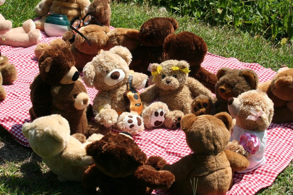 Пикник у медвежонка Тэдди фильм 2002