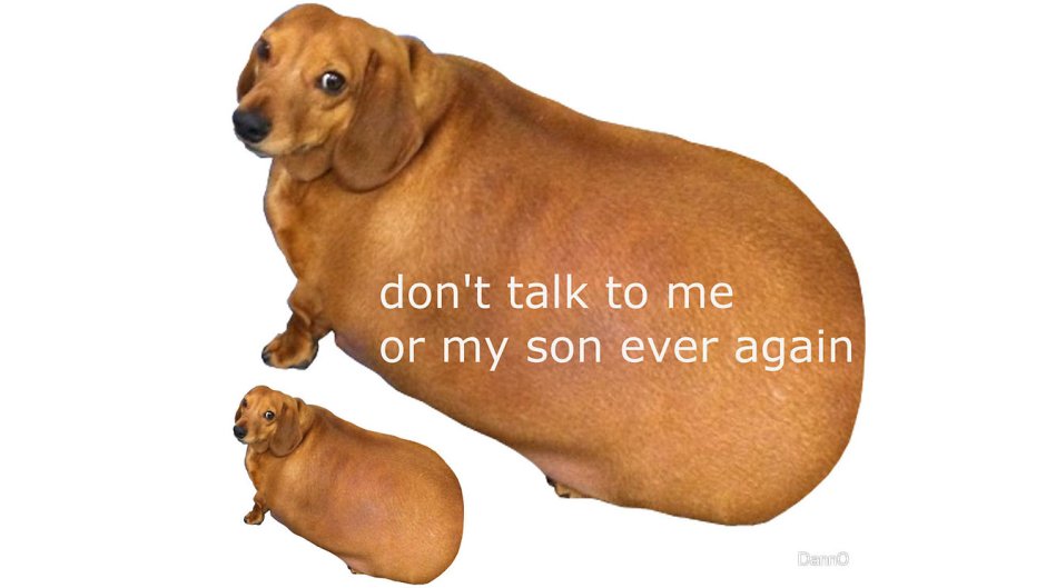 Don't talk to me or my son ever again