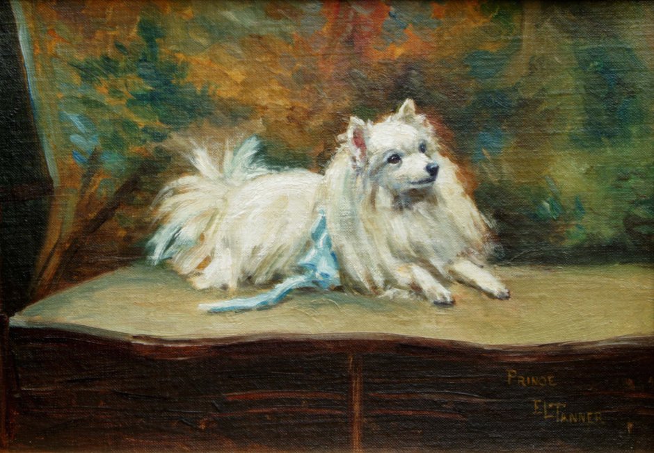 Королева Виктория и шпиц Марко