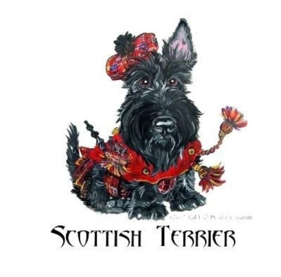 Scottish Terrier Tartan