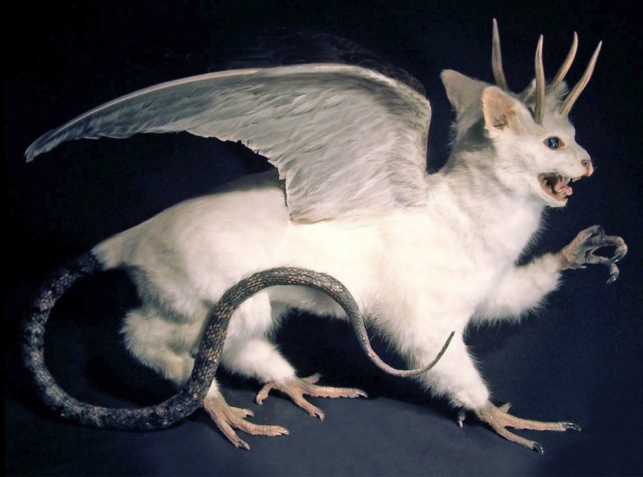Алтайская Химера