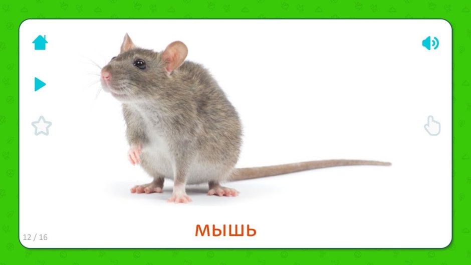 Мышь карточка для детей