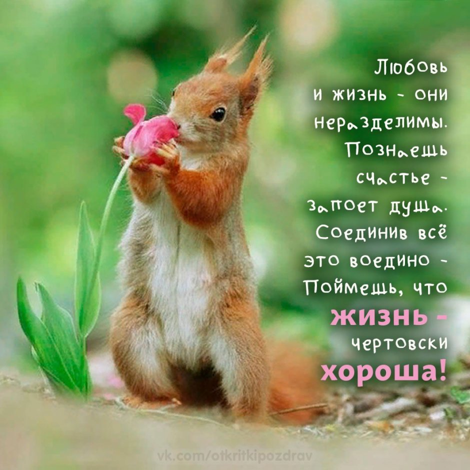 Герт Вегген