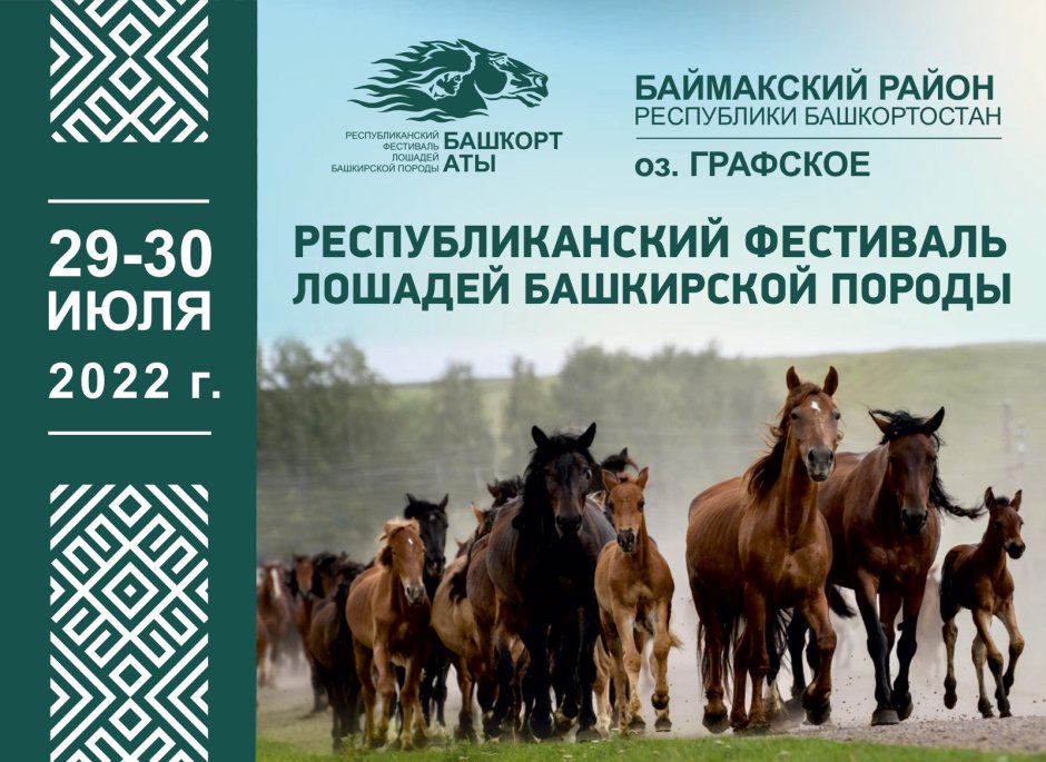 Башкир порода лошадей