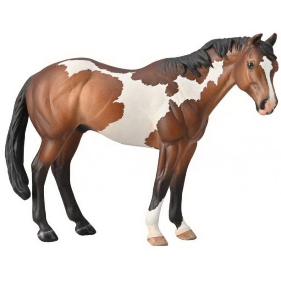 Collecta Horse 1:24