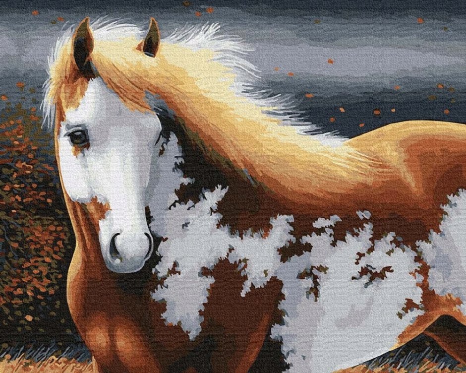 Милая лошадь