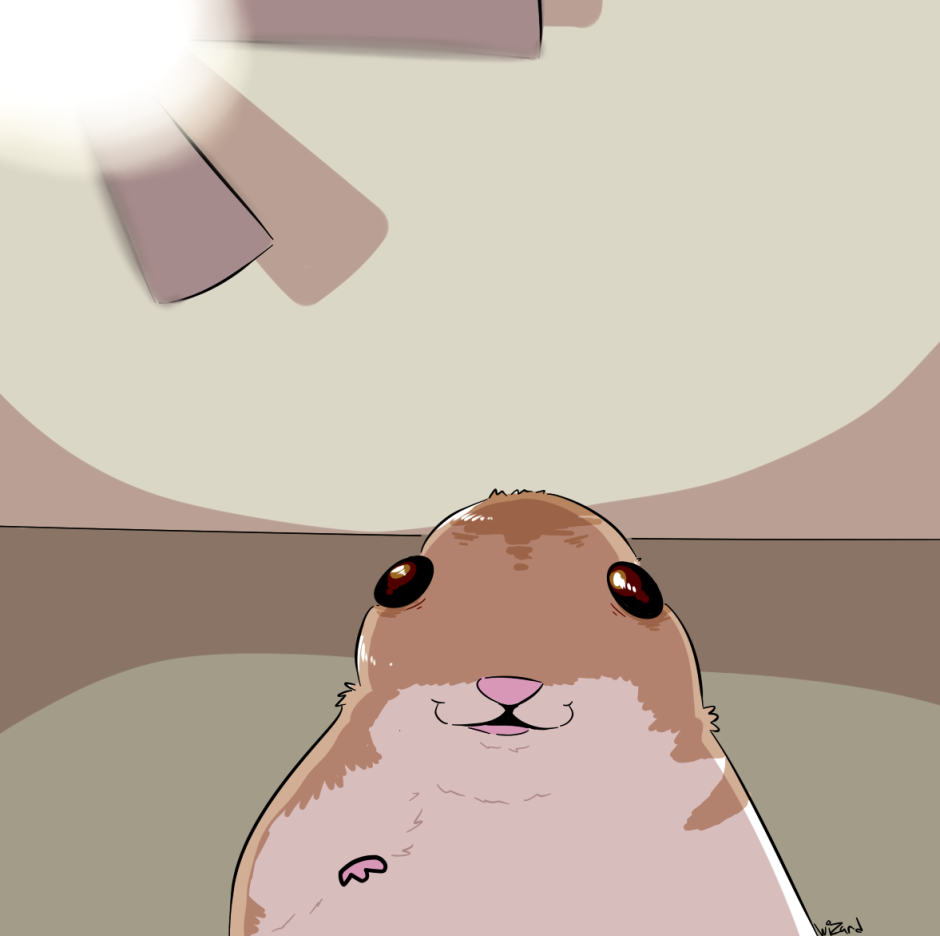 Хомяк м
