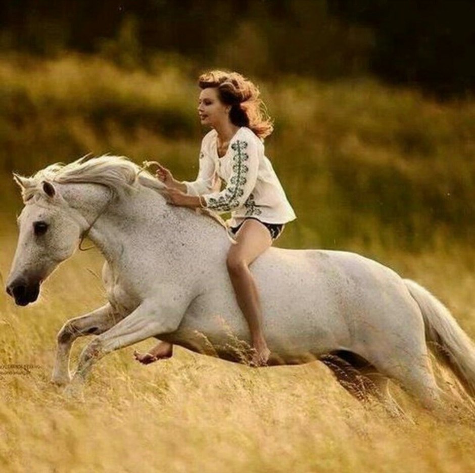 Человек на лошади