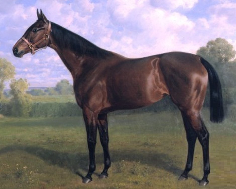 Эмиль адам (1843-1924) немецкий художник.