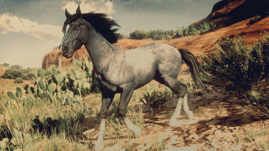 Red Dead Redemption 2 Нокота