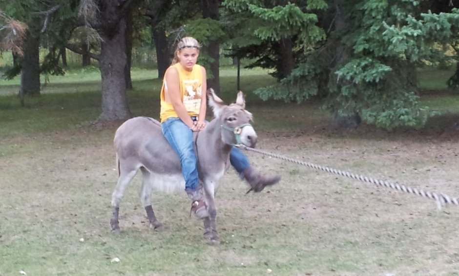 Napoleon cruel Pony Ride