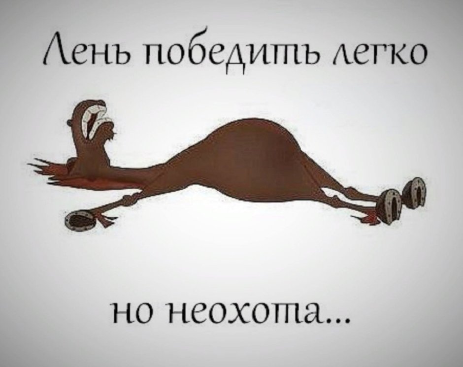 Лошадь председатель колхоза