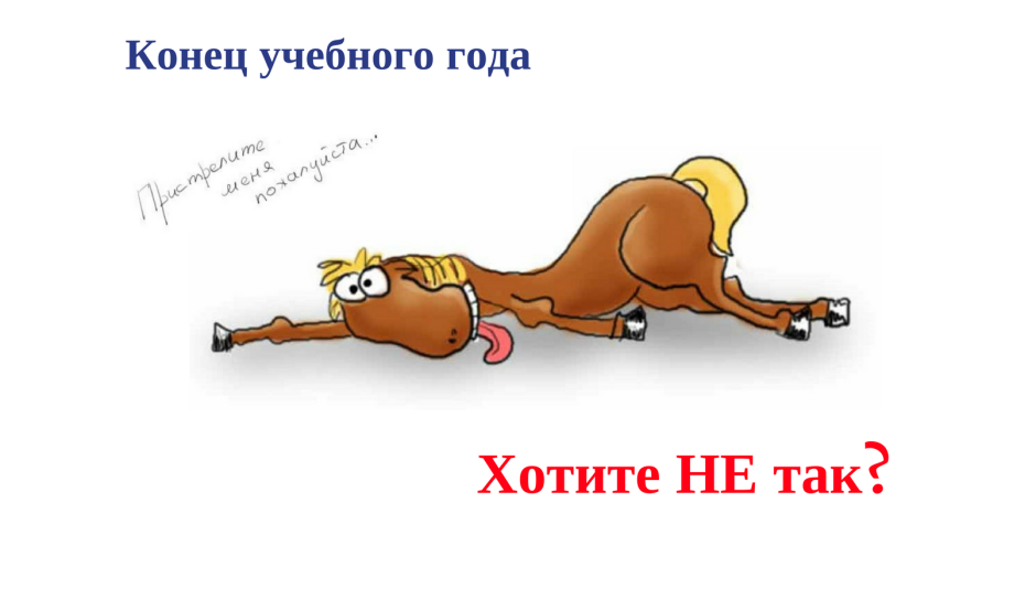 Уставшая лошадь прикол