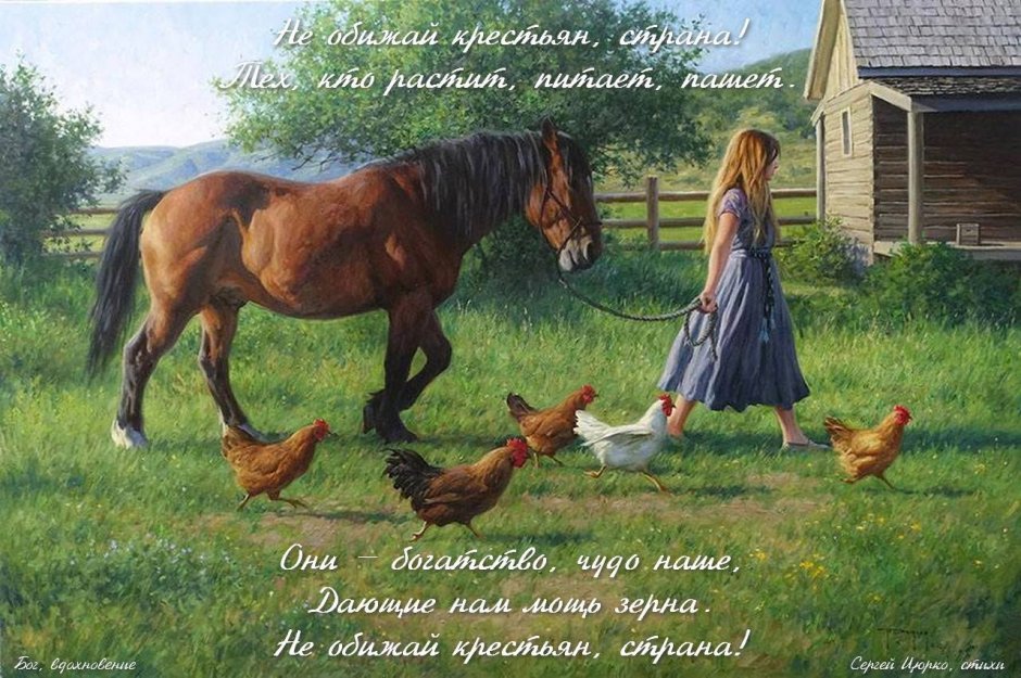 Роберт Дункан деревенская жизнь коровы