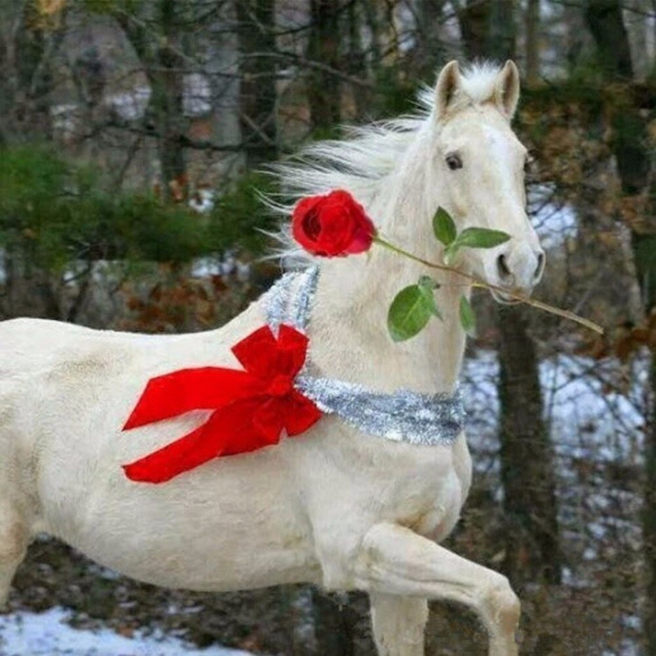 Жеребенок в цветах