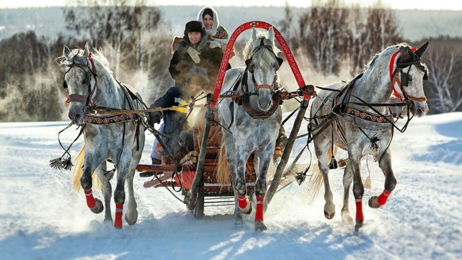 Конная упряжка тройка