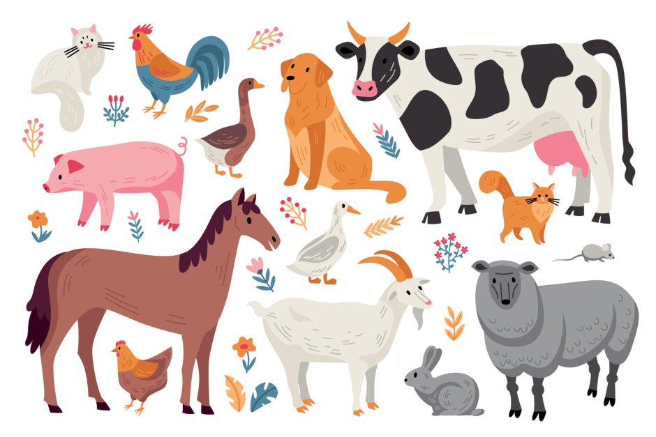 Domestic and Farm animals found in poor condition
