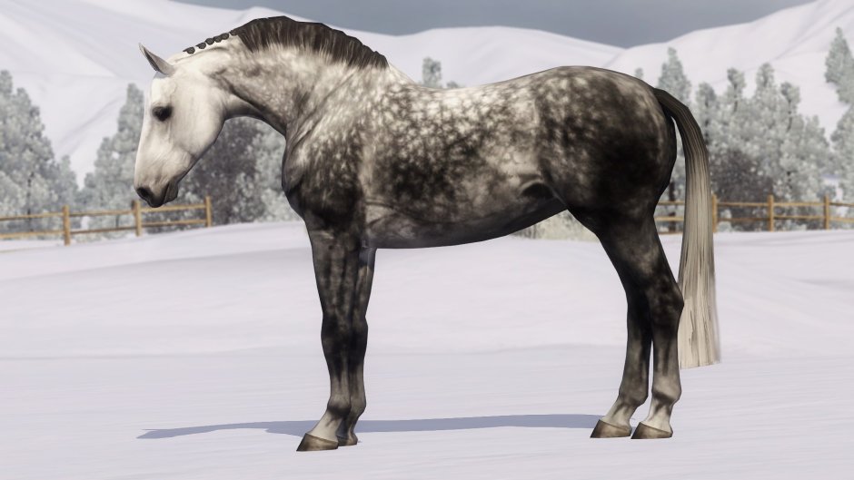 SIMS 3 Horses database
