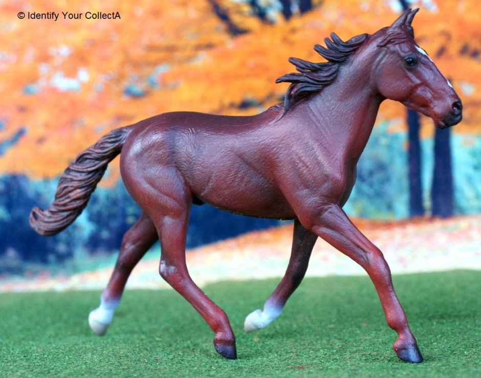 Теннессийский жеребец Collecta