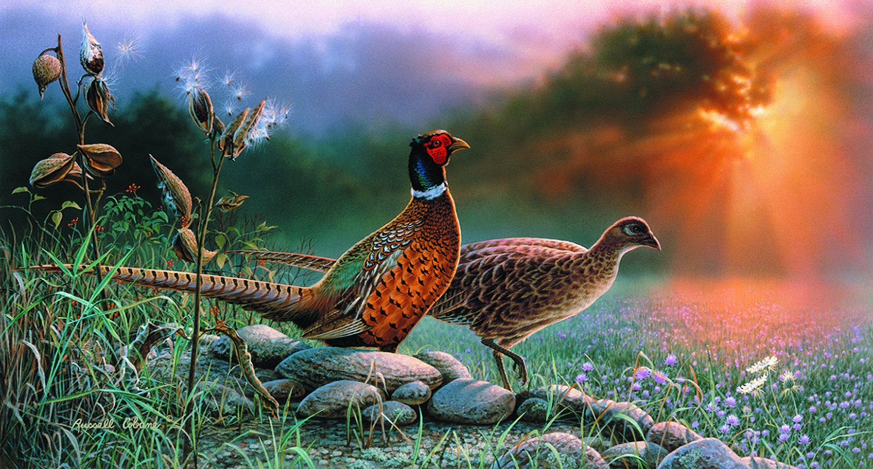 Натур птица. Американский художник Russell Cobane. Фазаны картины. Пейзаж с птицами. Фазан в природе.