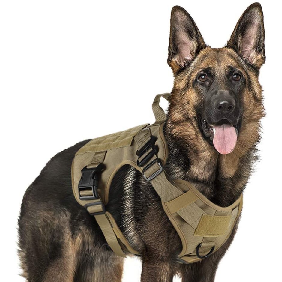 Тактическая шлейка k9 Unit