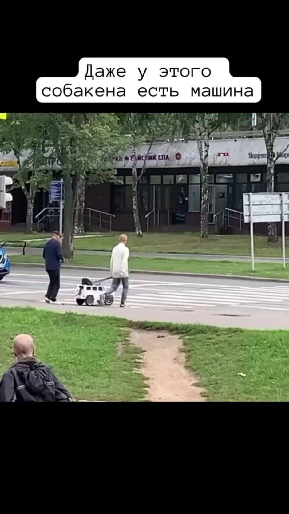 Кангал дог
