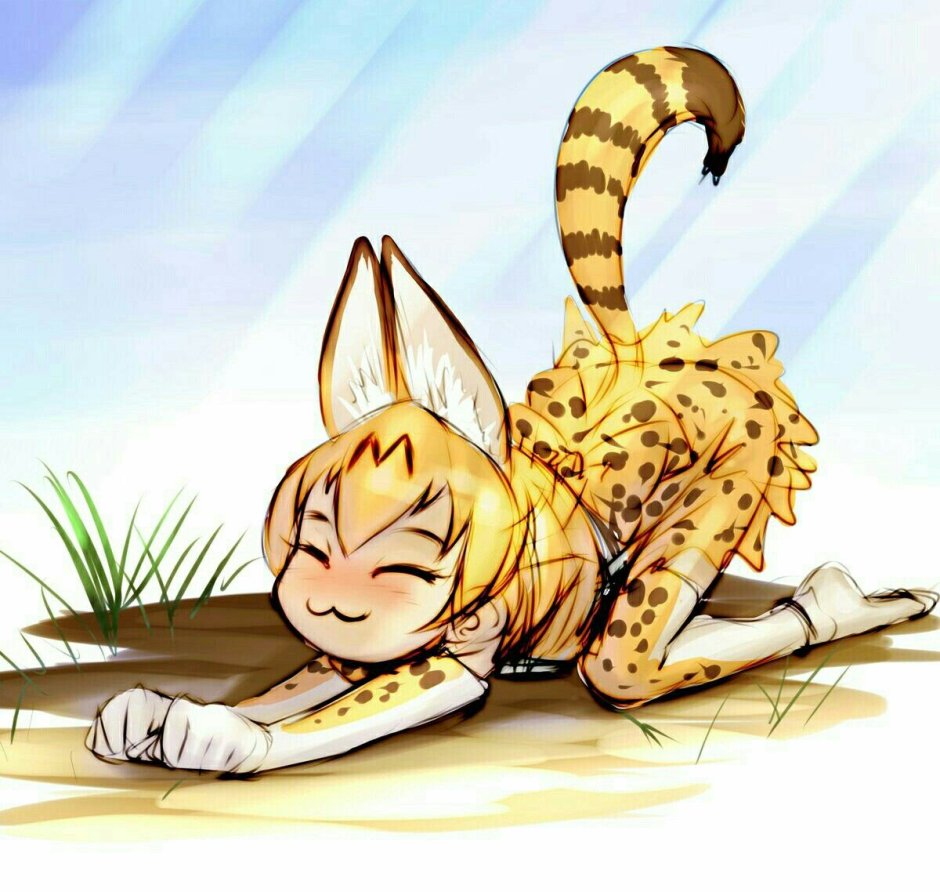 Kemono friends Оцелот